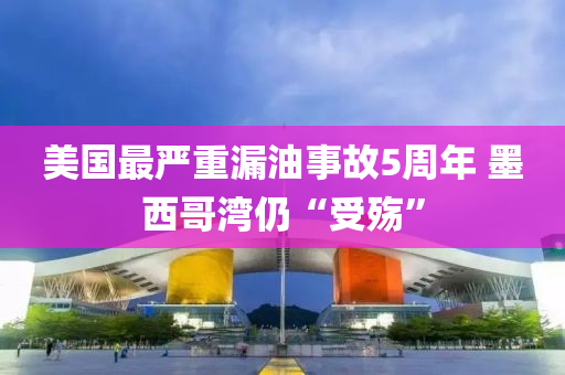 美國最嚴(yán)重漏油事故5周年 墨西哥灣仍“受殤”