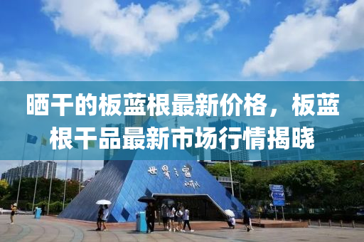 曬干的板藍根最新價格，板藍根干品最新市場行情揭曉