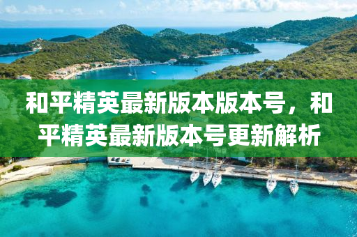 和平精英最新版本版本號，和平精英最新版本號更新解析