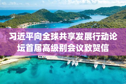 習(xí)近平向全球共享發(fā)展行動論壇首屆高級別會議致賀信