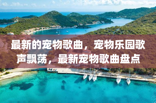 最新的寵物歌曲，寵物樂園歌聲飄蕩，最新寵物歌曲盤點(diǎn)