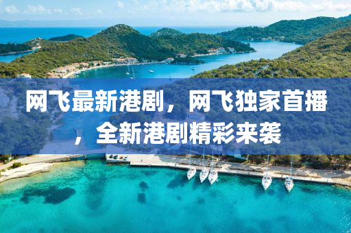 網(wǎng)飛最新港劇，網(wǎng)飛獨家首播，全新港劇精彩來襲