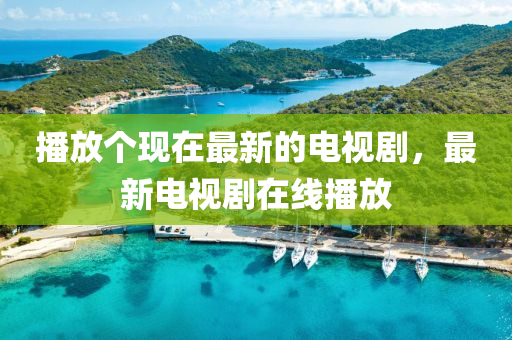 播放個(gè)現(xiàn)在最新的電視劇，最新電視劇在線播放