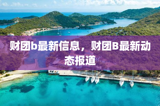 財(cái)團(tuán)b最新信息，財(cái)團(tuán)B最新動(dòng)態(tài)報(bào)道