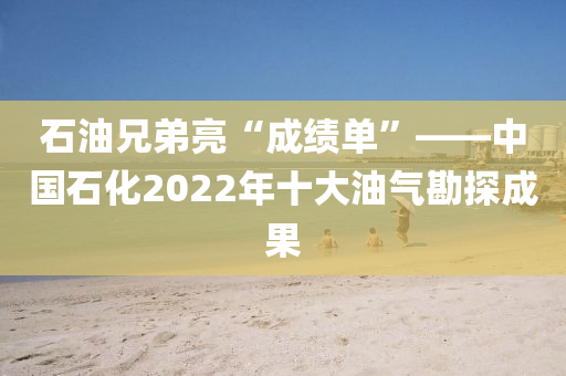 石油兄弟亮“成績(jī)單”——中國(guó)石化2022年十大油氣勘探成果
