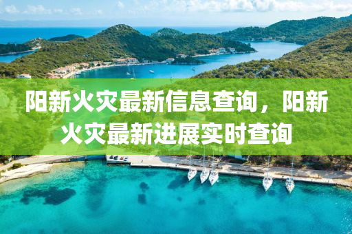 陽(yáng)新火災(zāi)最新信息查詢，陽(yáng)新火災(zāi)最新進(jìn)展實(shí)時(shí)查詢