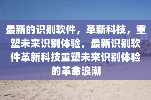 最新的識(shí)別軟件，革新科技，重塑未來識(shí)別體驗(yàn)，最新識(shí)別軟件革新科技重塑未來識(shí)別體驗(yàn)的革命浪潮