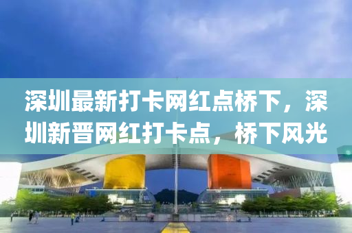 深圳最新打卡網(wǎng)紅點(diǎn)橋下，深圳新晉網(wǎng)紅打卡點(diǎn)，橋下風(fēng)光