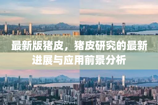最新版豬皮，豬皮研究的最新進展與應(yīng)用前景分析