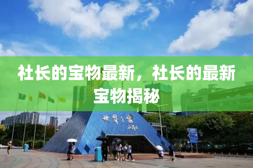 社長(zhǎng)的寶物最新，社長(zhǎng)的最新寶物揭秘