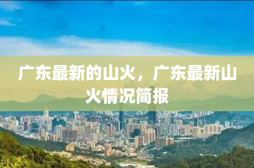 廣東最新的山火，廣東最新山火情況簡報(bào)