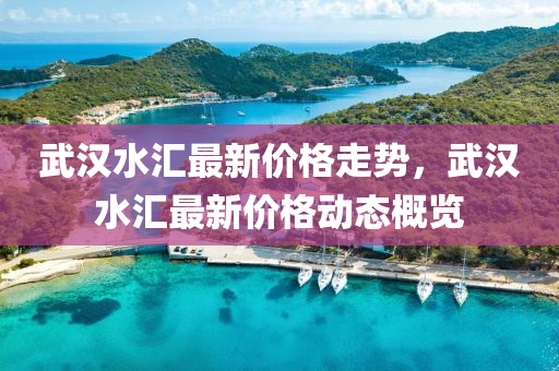 武漢水匯最新價(jià)格走勢(shì)，武漢水匯最新價(jià)格動(dòng)態(tài)概覽