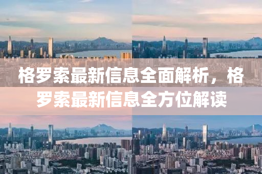 格羅索最新信息全面解析，格羅索最新信息全方位解讀