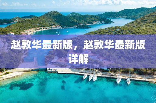 趙敦華最新版，趙敦華最新版詳解