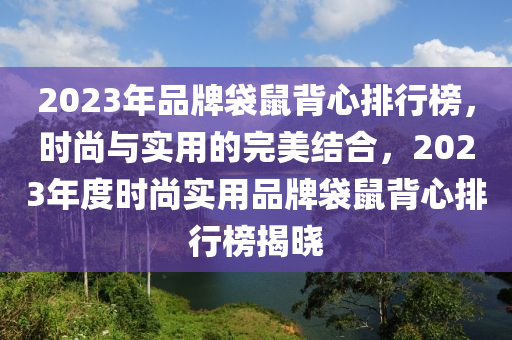 2023年品牌袋鼠背心排行榜，時(shí)尚與實(shí)用的完美結(jié)合，2023年度時(shí)尚實(shí)用品牌袋鼠背心排行榜揭曉