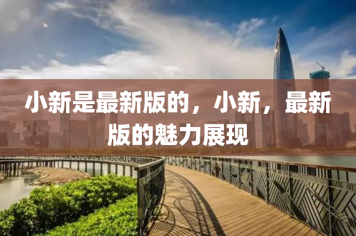 小新是最新版的，小新，最新版的魅力展現(xiàn)