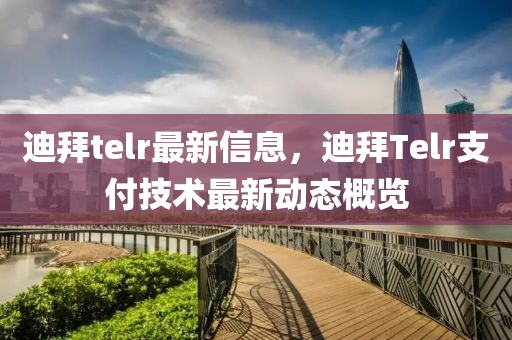 迪拜telr最新信息，迪拜Telr支付技術(shù)最新動態(tài)概覽