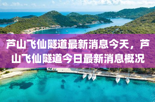 蘆山飛仙隧道最新消息今天，蘆山飛仙隧道今日最新消息概況