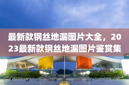最新款鋼絲地漏圖片大全，2023最新款鋼絲地漏圖片鑒賞集