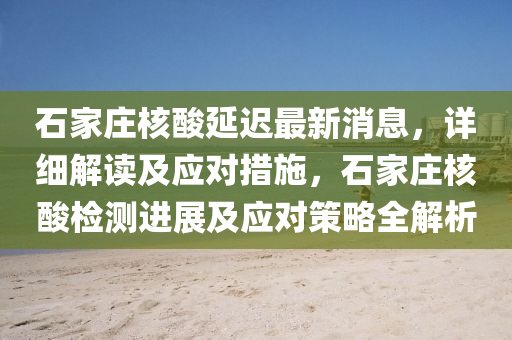 石家莊核酸延遲最新消息，詳細(xì)解讀及應(yīng)對措施，石家莊核酸檢測進(jìn)展及應(yīng)對策略全解析