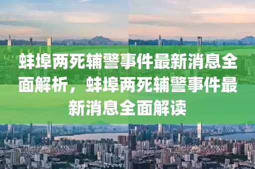 蚌埠兩死輔警事件最新消息全面解析，蚌埠兩死輔警事件最新消息全面解讀