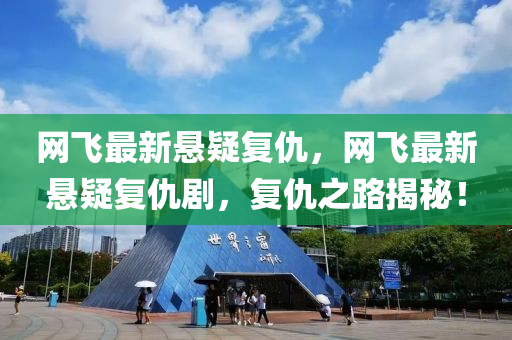 網(wǎng)飛最新懸疑復(fù)仇，網(wǎng)飛最新懸疑復(fù)仇劇，復(fù)仇之路揭秘！