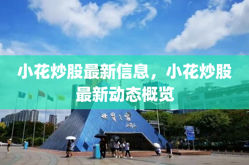 小花炒股最新信息，小花炒股最新動態(tài)概覽