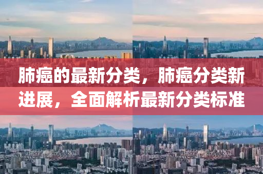 肺癌的最新分類，肺癌分類新進展，全面解析最新分類標準