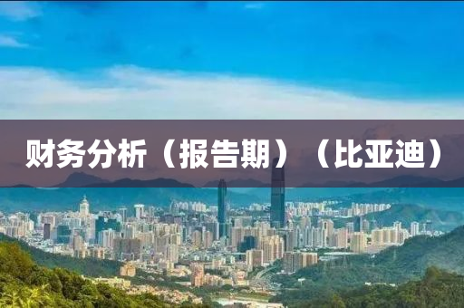 財務分析（報告期）（比亞迪）