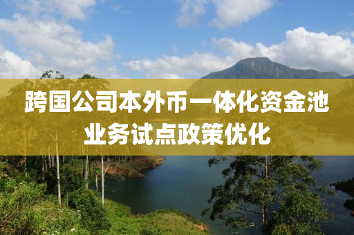 跨國公司本外幣一體化資金池業(yè)務(wù)試點(diǎn)政策優(yōu)化