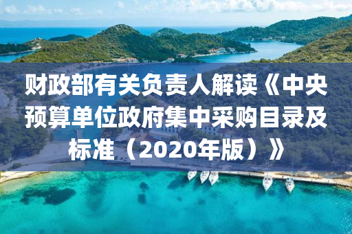 財政部有關(guān)負(fù)責(zé)人解讀《中央預(yù)算單位政府集中采購目錄及標(biāo)準(zhǔn)（2020年版）》