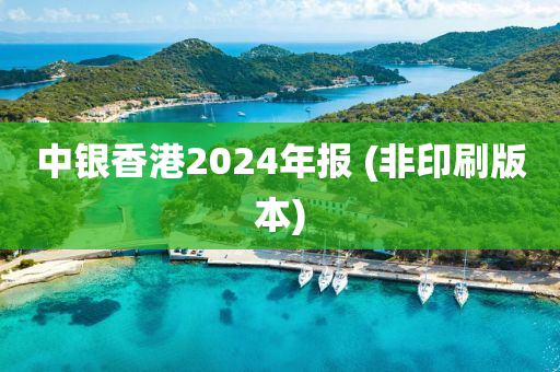 中銀香港2024年報(bào) (非印刷版本)