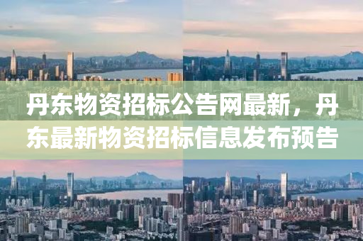 丹東物資招標(biāo)公告網(wǎng)最新，丹東最新物資招標(biāo)信息發(fā)布預(yù)告