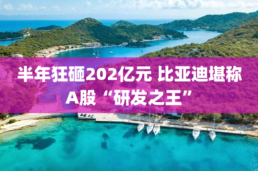 半年狂砸202億元 比亞迪堪稱A股“研發(fā)之王”