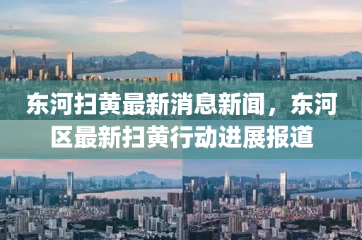 東河掃黃最新消息新聞，東河區(qū)最新掃黃行動(dòng)進(jìn)展報(bào)道