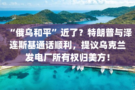 “俄烏和平”近了？特朗普與澤連斯基通話順利，提議烏克蘭發(fā)電廠所有權歸美方！