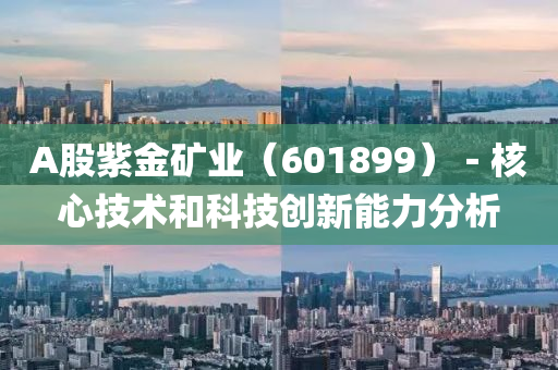 A股紫金礦業(yè)（601899）－核心技術(shù)和科技創(chuàng)新能力分析