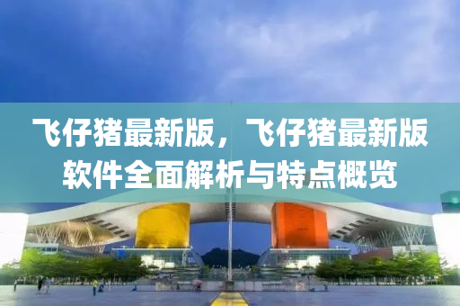 飛仔豬最新版，飛仔豬最新版軟件全面解析與特點概覽