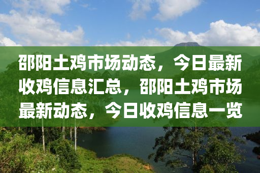 邵陽(yáng)土雞市場(chǎng)動(dòng)態(tài)，今日最新收雞信息匯總，邵陽(yáng)土雞市場(chǎng)最新動(dòng)態(tài)，今日收雞信息一覽