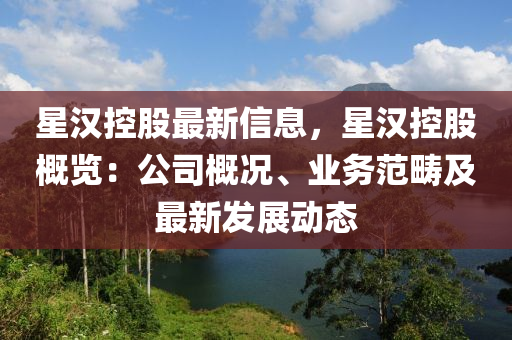 星漢控股最新信息，星漢控股概覽：公司概況、業(yè)務(wù)范疇及最新發(fā)展動(dòng)態(tài)