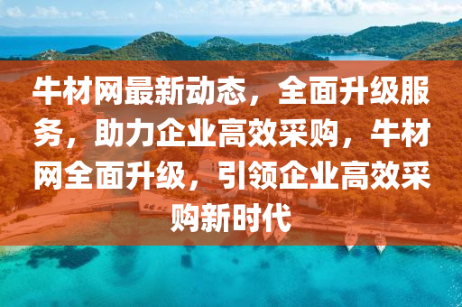 牛材網(wǎng)最新動態(tài)，全面升級服務(wù)，助力企業(yè)高效采購，牛材網(wǎng)全面升級，引領(lǐng)企業(yè)高效采購新時代