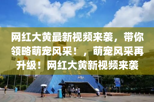 網紅大黃最新視頻來襲，帶你領略萌寵風采！，萌寵風采再升級！網紅大黃新視頻來襲