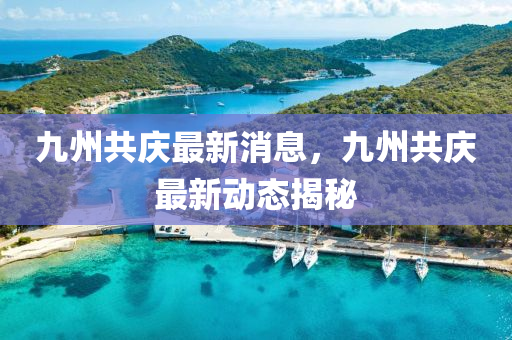 九州共慶最新消息，九州共慶最新動態(tài)揭秘