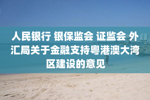人民銀行 銀保監(jiān)會 證監(jiān)會 外匯局關于金融支持粵港澳大灣區(qū)建設的意見