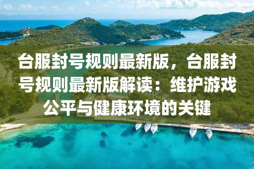 臺服封號規(guī)則最新版，臺服封號規(guī)則最新版解讀：維護游戲公平與健康環(huán)境的關(guān)鍵
