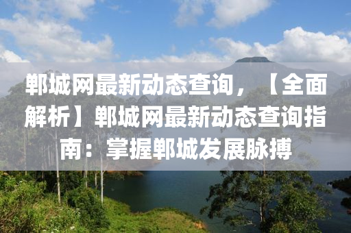 鄲城網(wǎng)最新動態(tài)查詢，【全面解析】鄲城網(wǎng)最新動態(tài)查詢指南：掌握鄲城發(fā)展脈搏