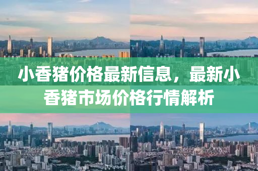 小香豬價格最新信息，最新小香豬市場價格行情解析