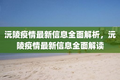沅陵疫情最新信息全面解析，沅陵疫情最新信息全面解讀