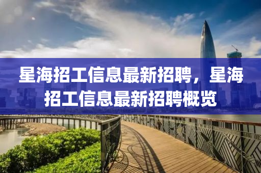 星海招工信息最新招聘，星海招工信息最新招聘概覽
