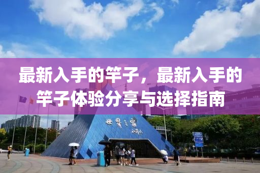 最新入手的竿子，最新入手的竿子體驗分享與選擇指南